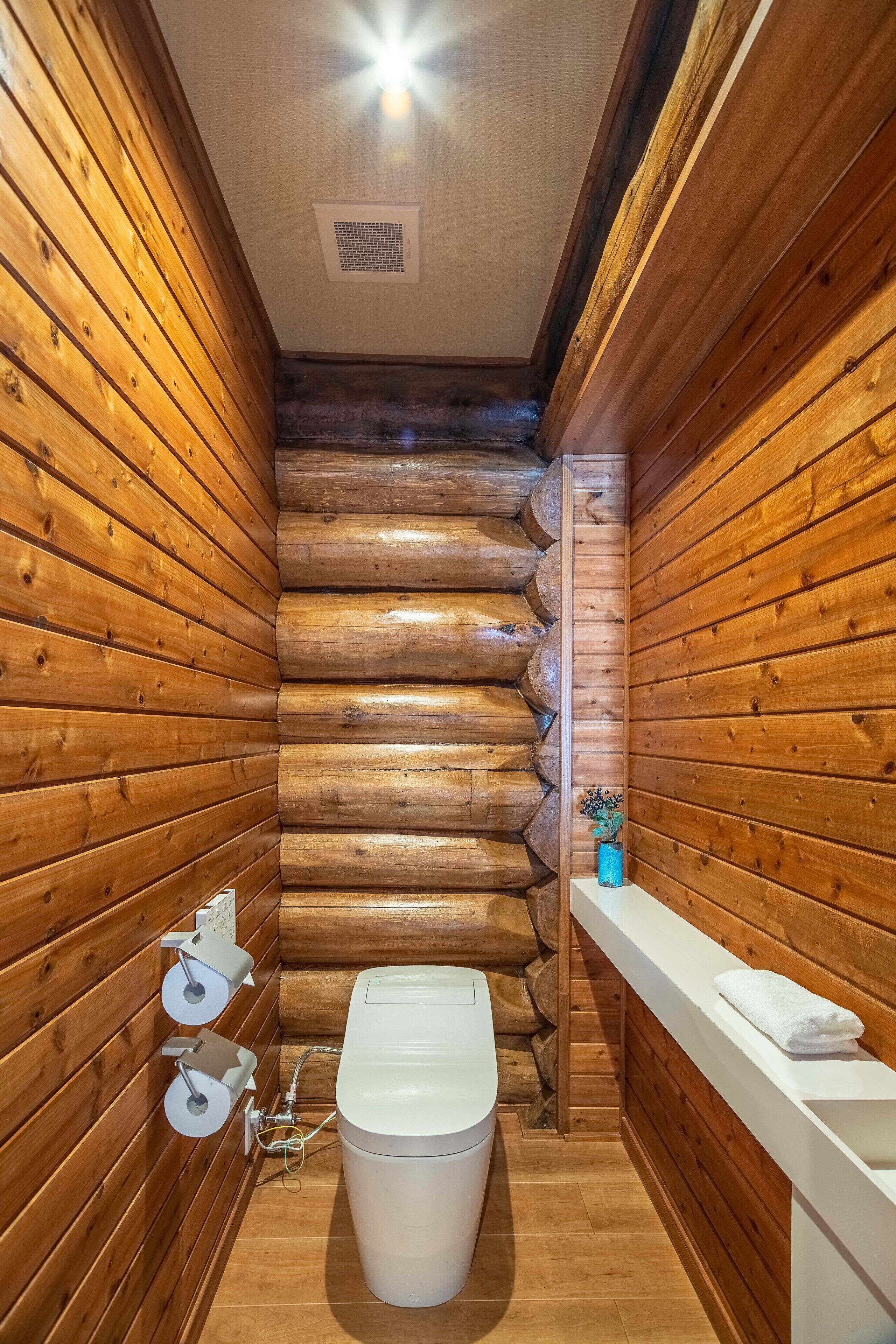 A log cabin bathroom with wooden walls, a toilet, a sink, and a small plant on the counter.