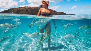 Eine Person schwimmt in klarem, blauem Wasser, umgeben von Fischen, unter einem wolkenlosen Himmel, mit einer Landmasse in der Ferne.