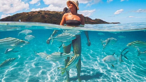 Une personne nage dans une eau d’un bleu cristallin, entourée de poissons, sous un ciel dégagé, avec une terre lointaine à l’horizon.