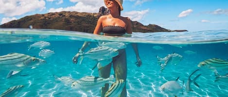 私人海灘、潛水、浮潛、橡皮艇