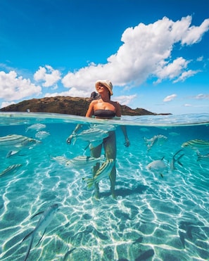 Private beach, scuba diving, snorkelling, kayaking