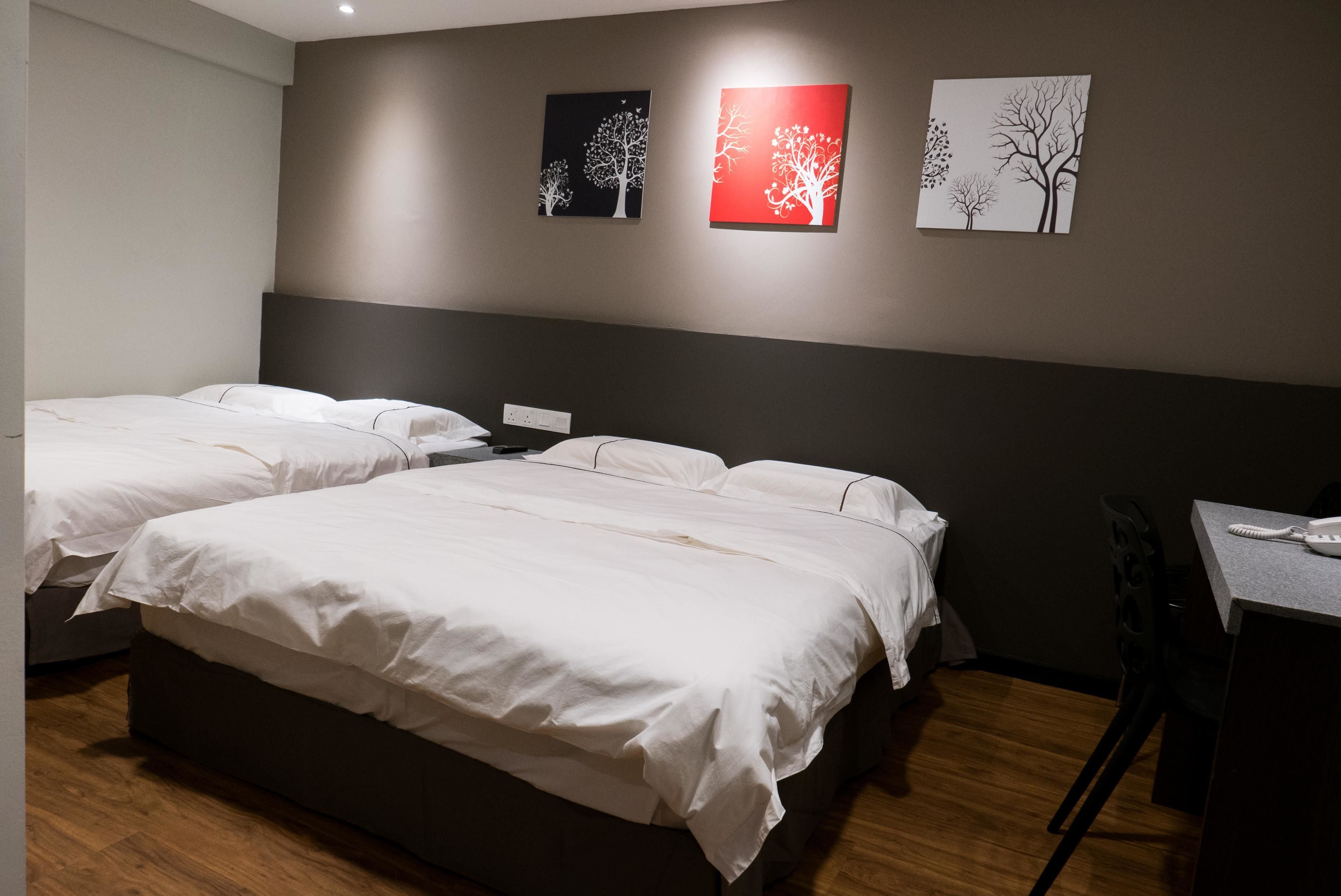 Habitació d'hotel amb dos llits, un escriptori i una cadira. Hi ha tres quadres murals amb representacions d'arbres.