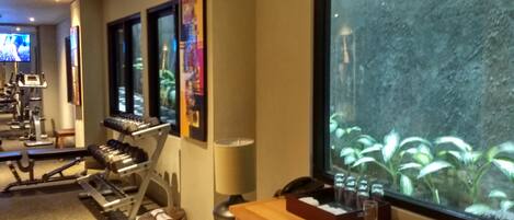 A gym with exercise equipment, a reception desk, and a large window with a view of plants.