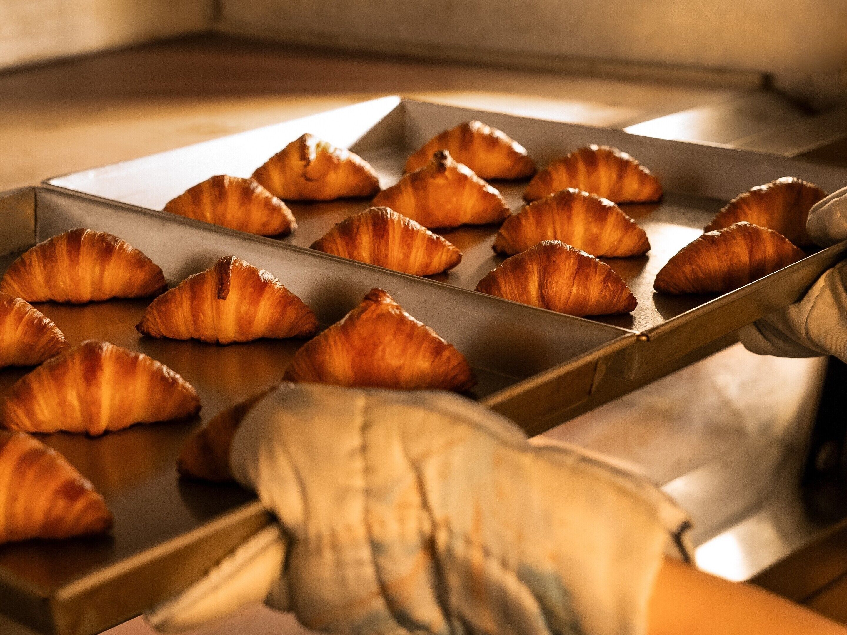 A tray of freshly baked croissants on a metal surface.