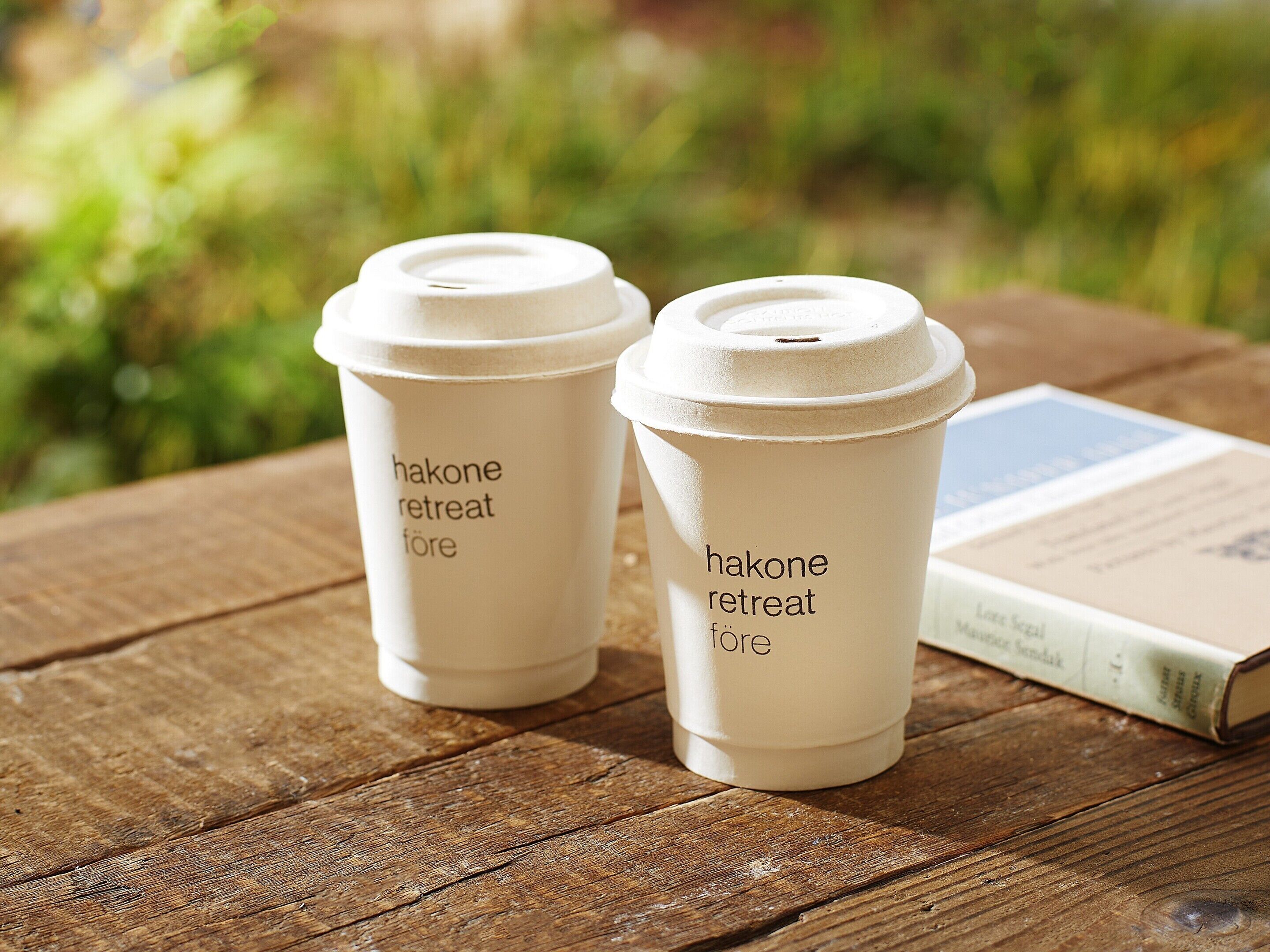 Foto - Hakone Retreat Före