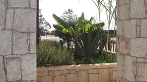 Un mur de pierre bordé d’un petit jardin où l’on trouve différentes plantes et un palmier.