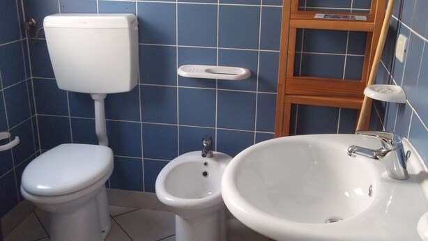 Une salle de bain équipée de toilettes, d’un bidet et d’un lavabo.
