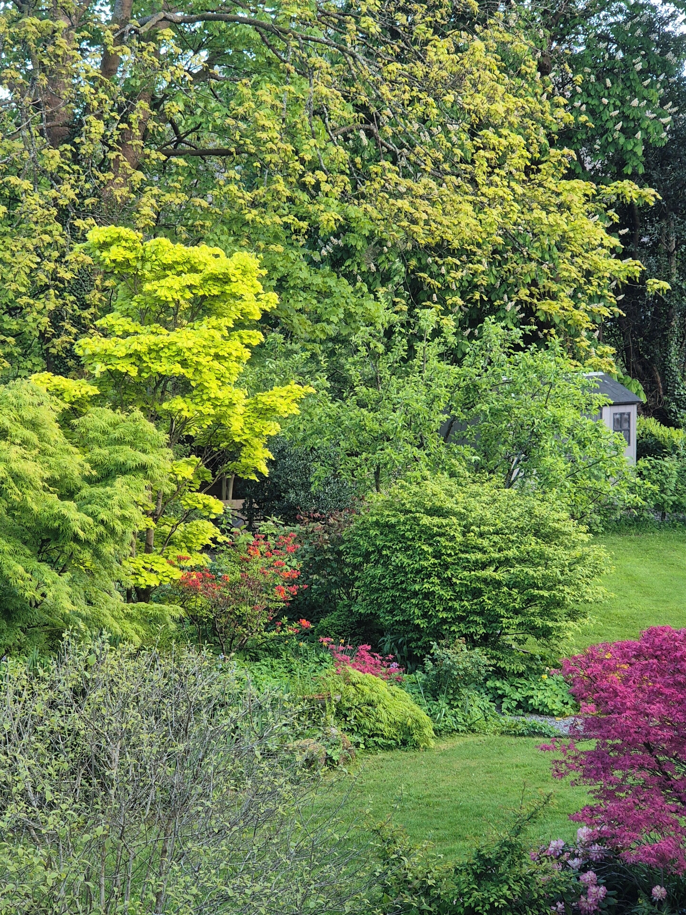 Un jardin agrémenté de divers arbres et arbustes, une petite construction et une pelouse bien entretenue.