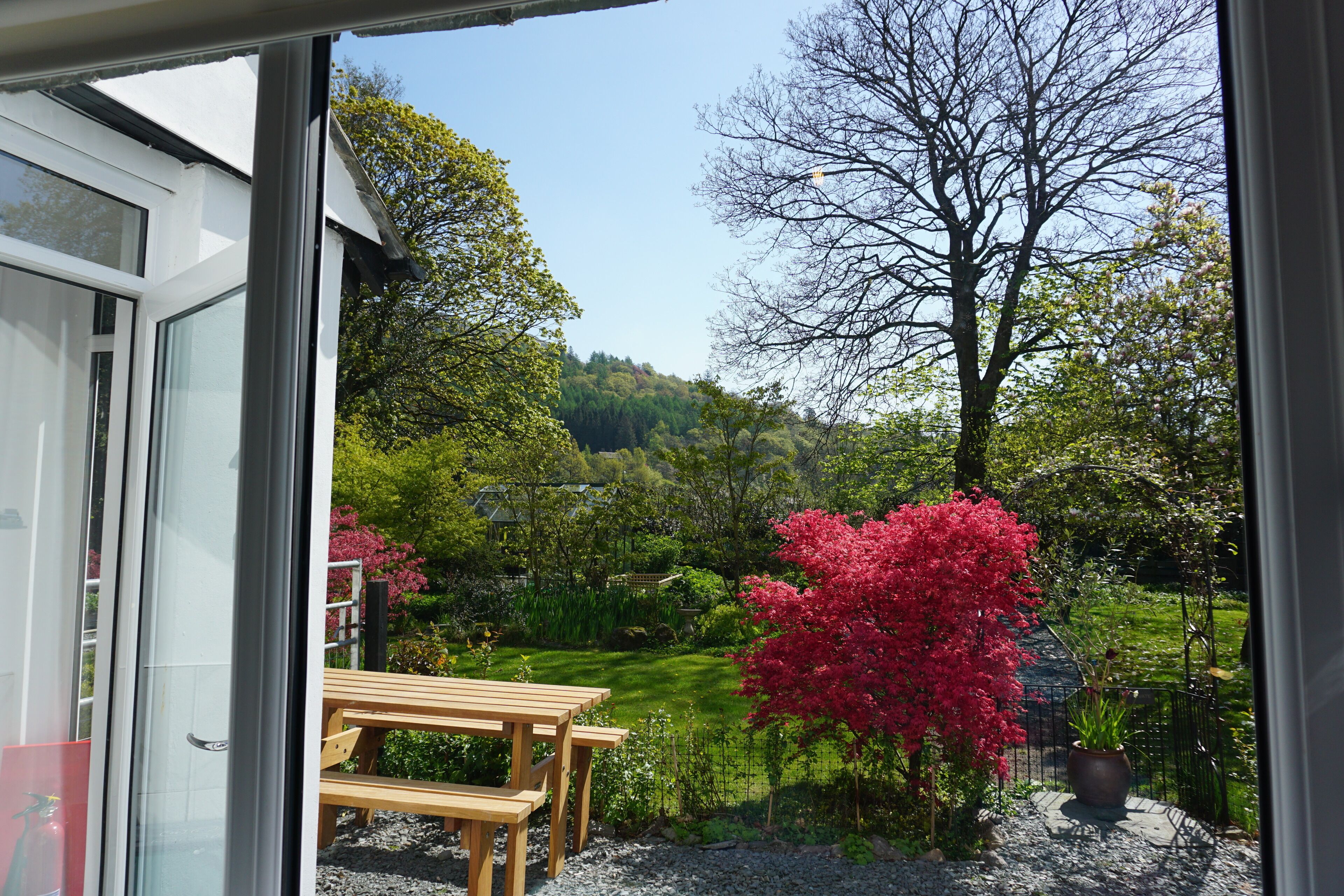 A view from a window of a garden with a wooden table and chairs, a red flowering tree, and a hill in the background.