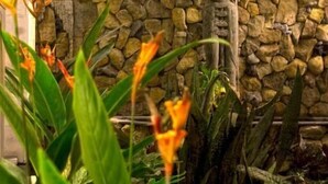 A stone wall with a statue, surrounded by tropical plants. - Sura Inn Ubud (Ubud)
