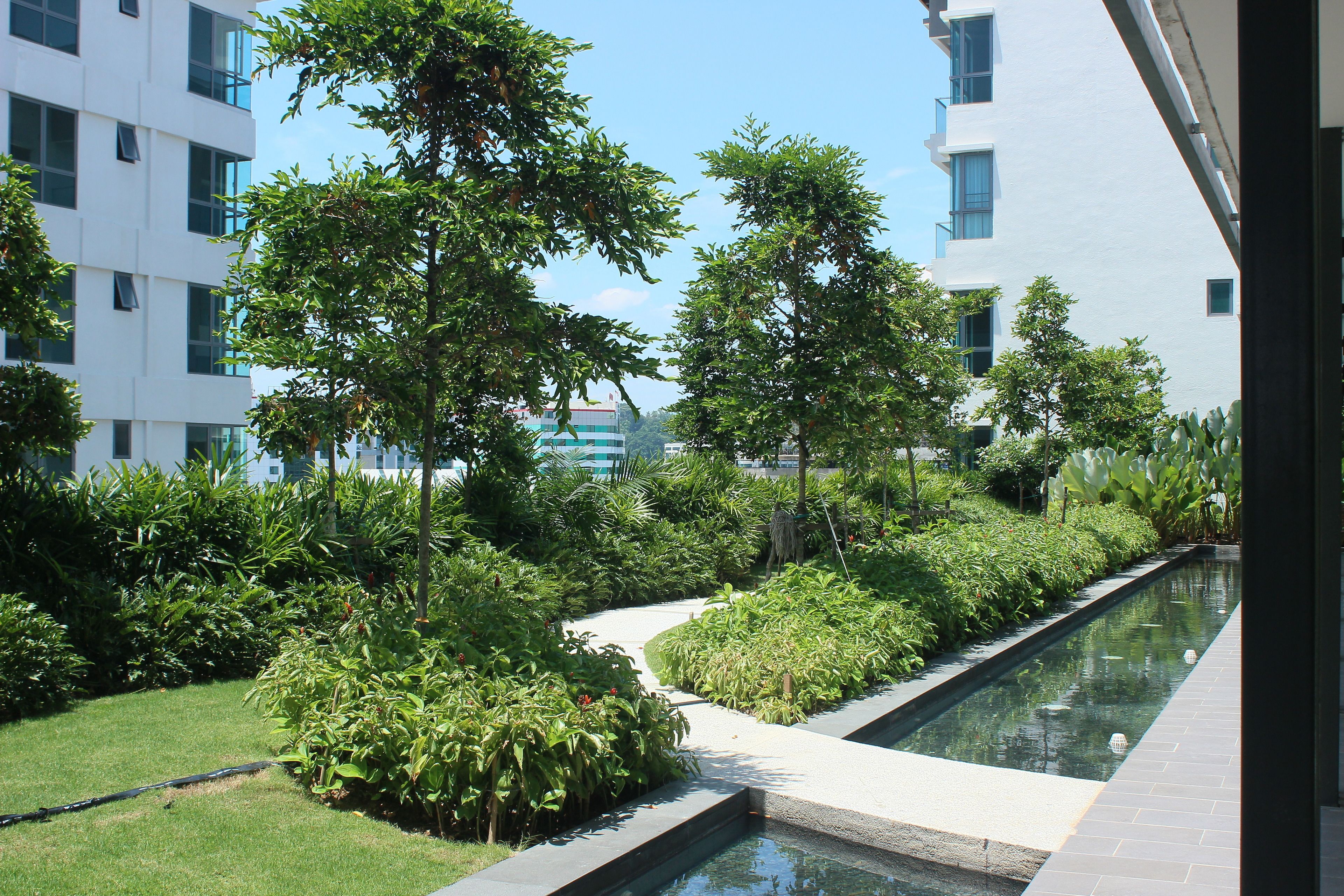 A modern building with a pool and lush greenery.