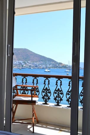 Vista desde la habitación