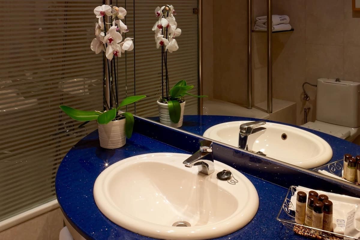 bathtub, free toiletries, hair dryer, bidet