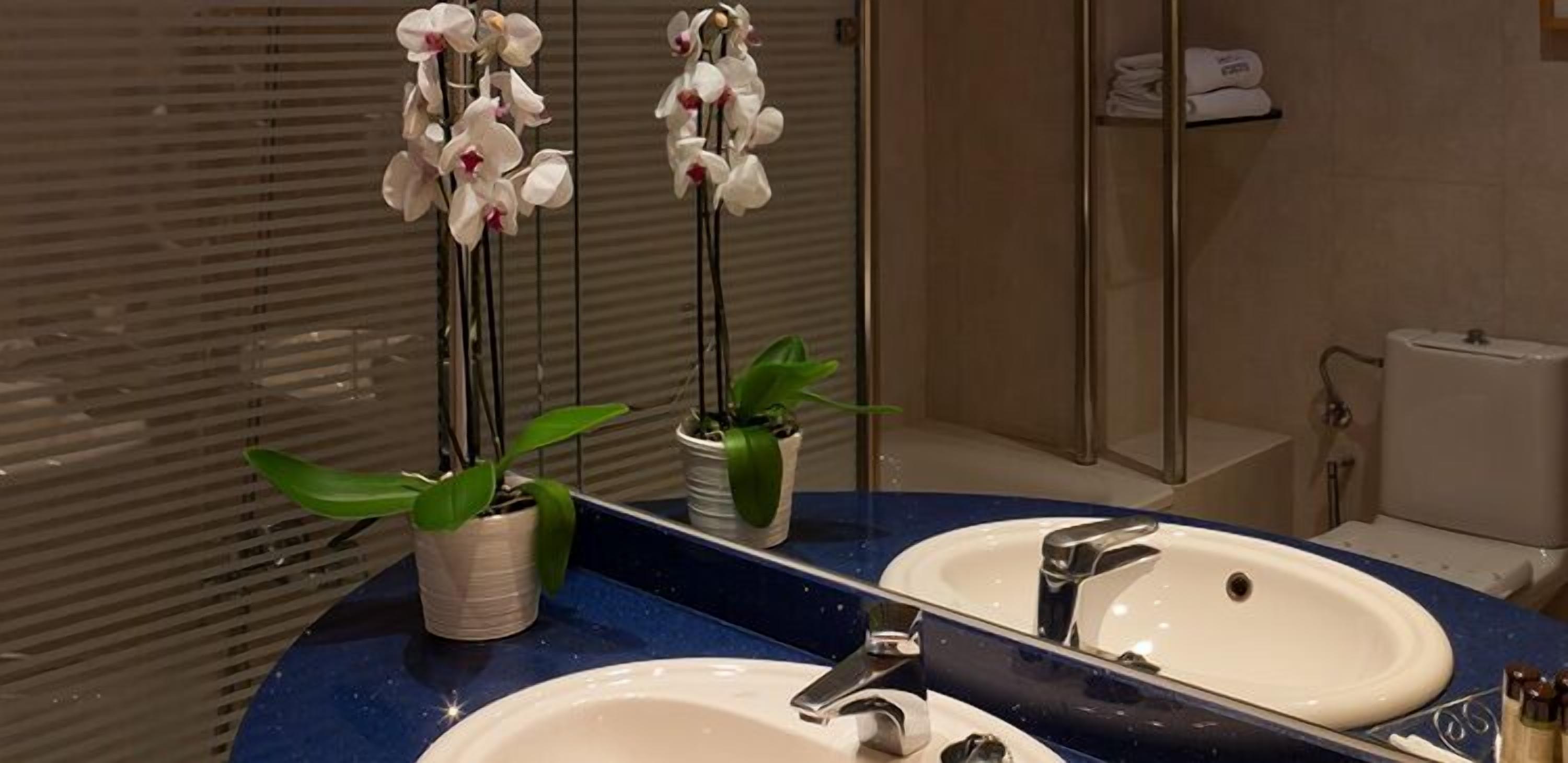 bathtub, free toiletries, hair dryer, bidet