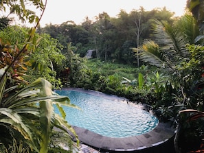 Outdoor pool - The Riverside Javanese Cottages (Pakem)