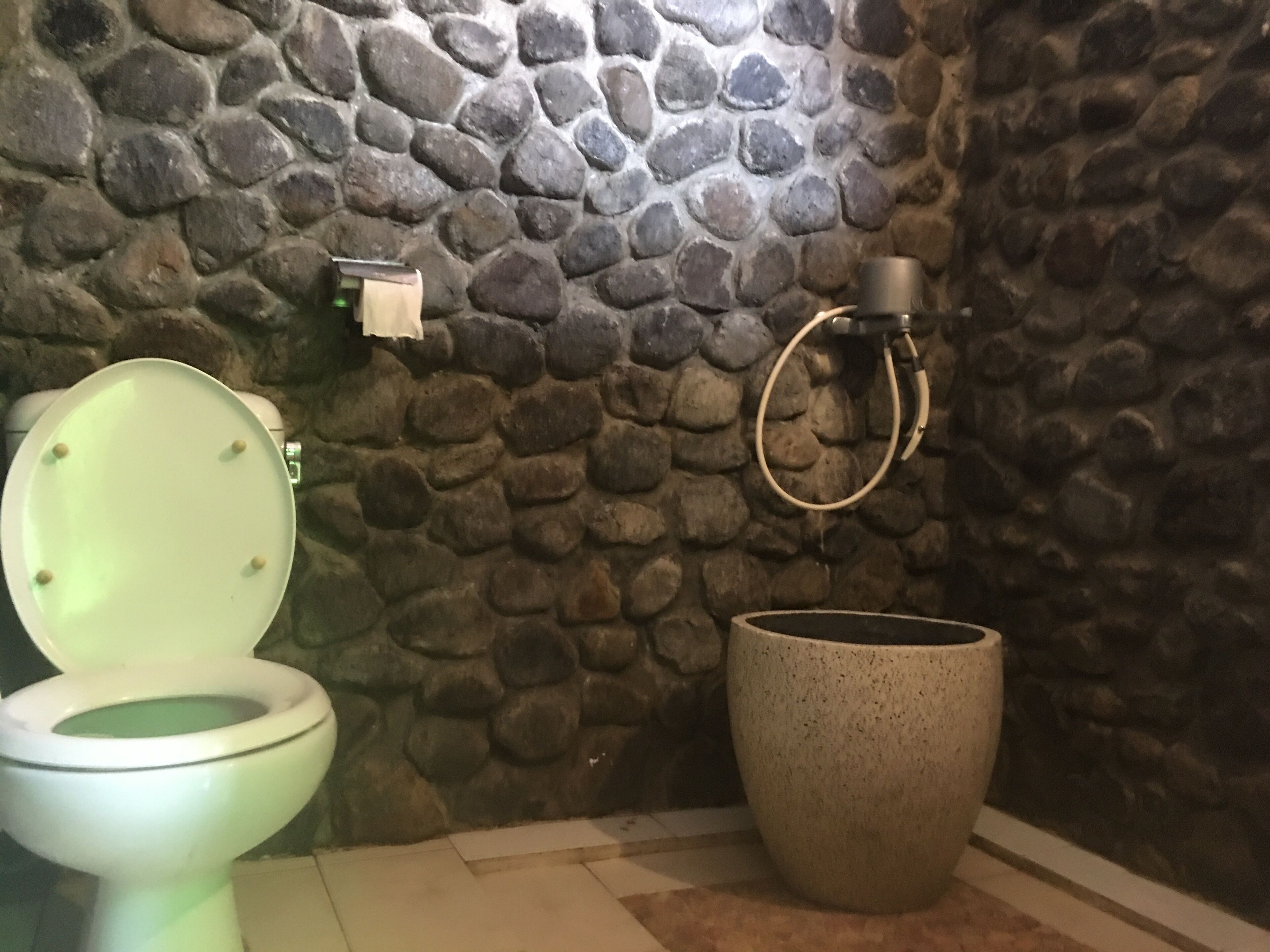 A bathroom with a stone wall, a toilet, and a large ceramic basin.