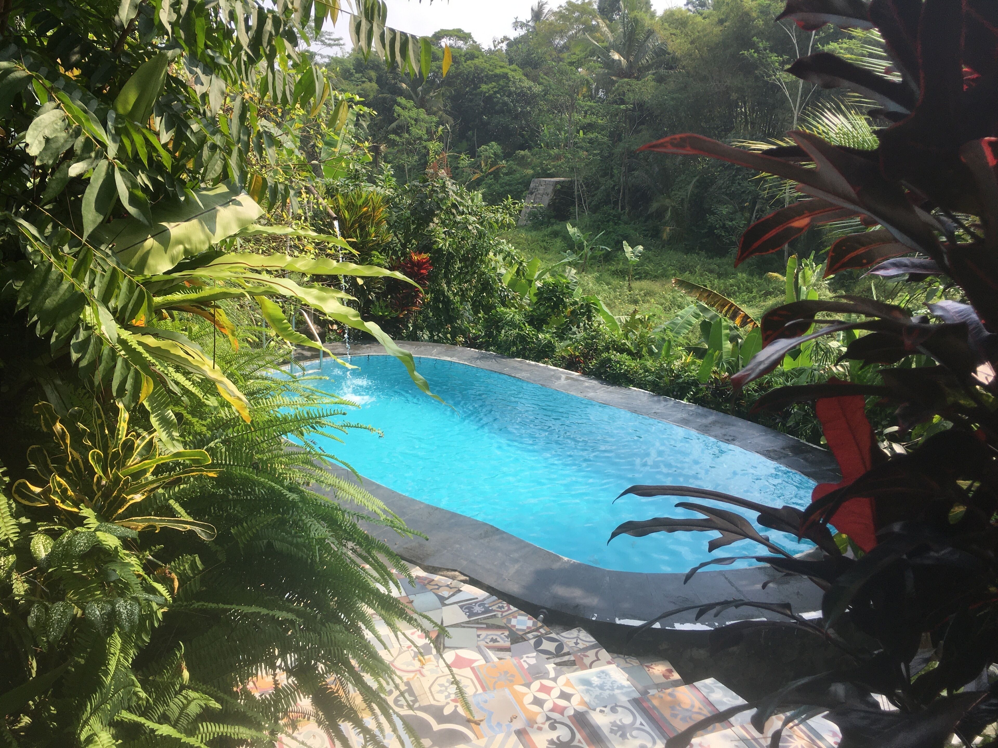 Hồ bơi ngoài trời 