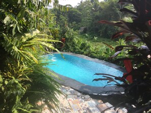 Outdoor pool - The Riverside Javanese Cottages (Pakem)