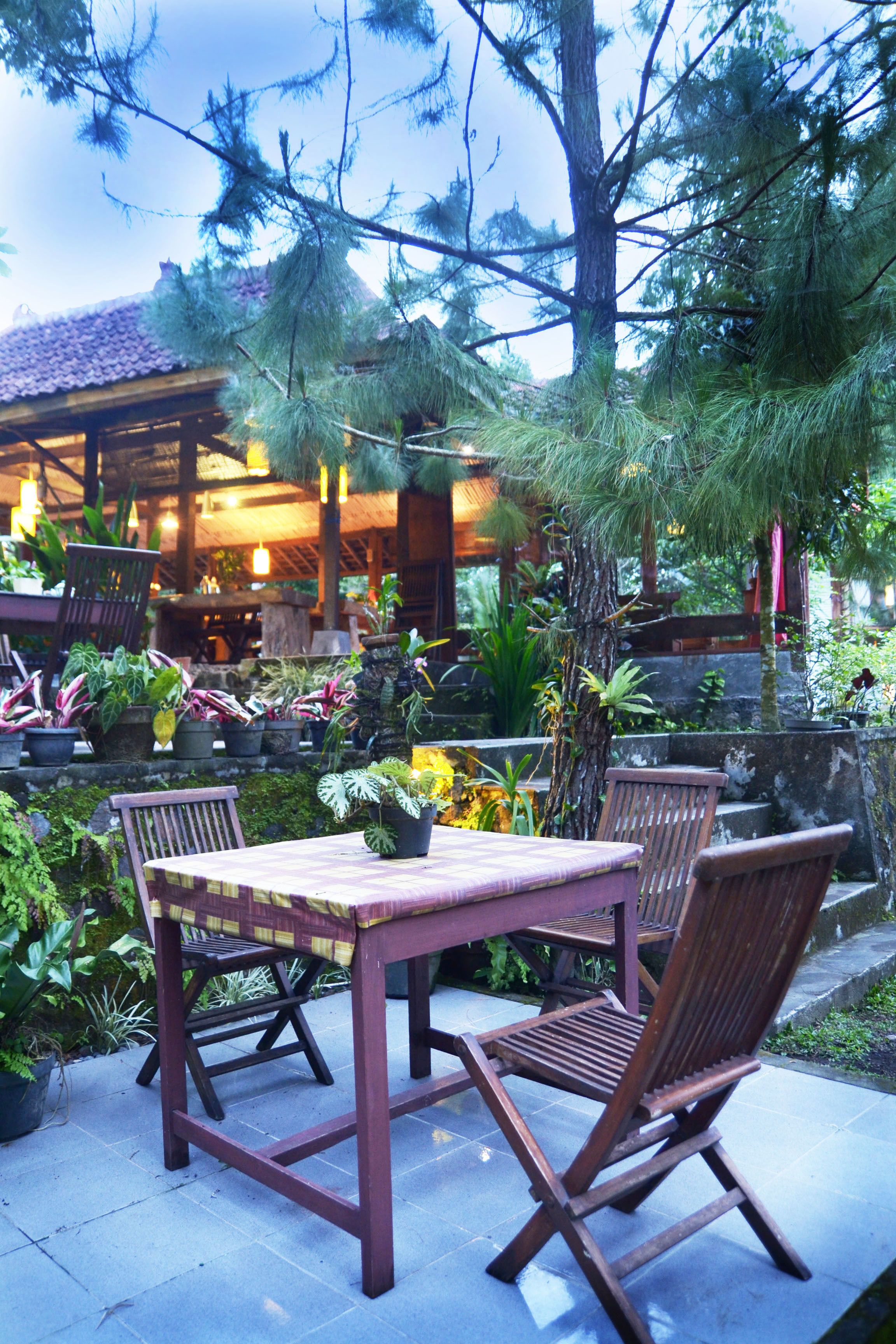 An outdoor seating area with wooden tables and chairs, surrounded by potted plants and trees.