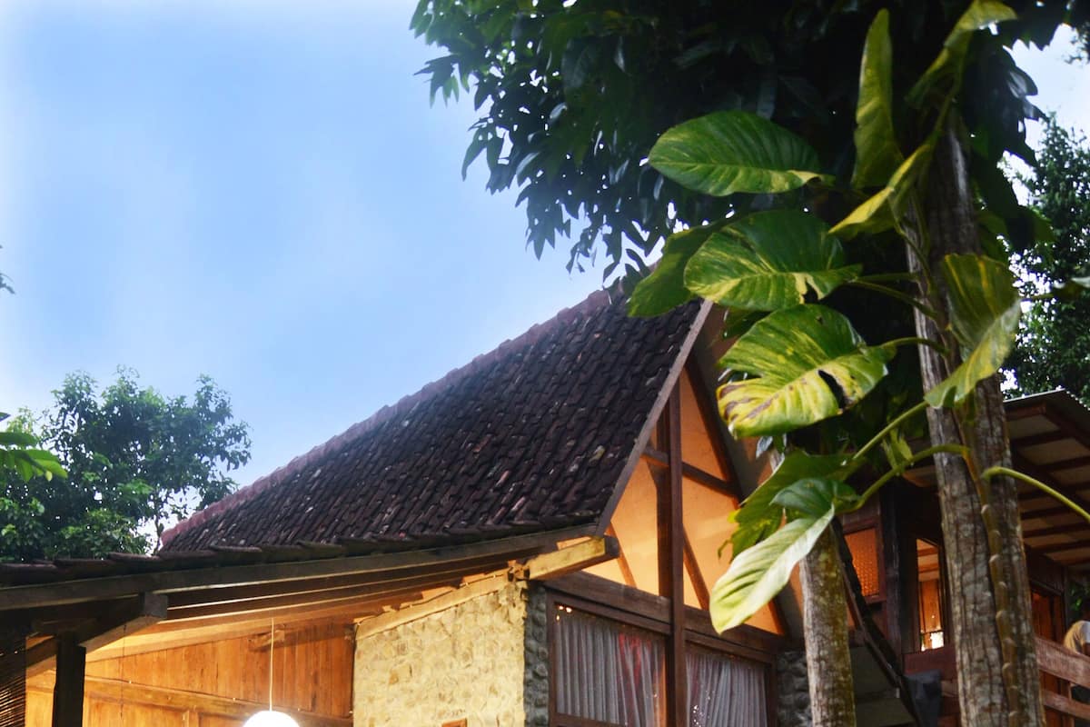 A traditional wooden house with a stone exterior, a porch with chairs, and lush tropical plants.