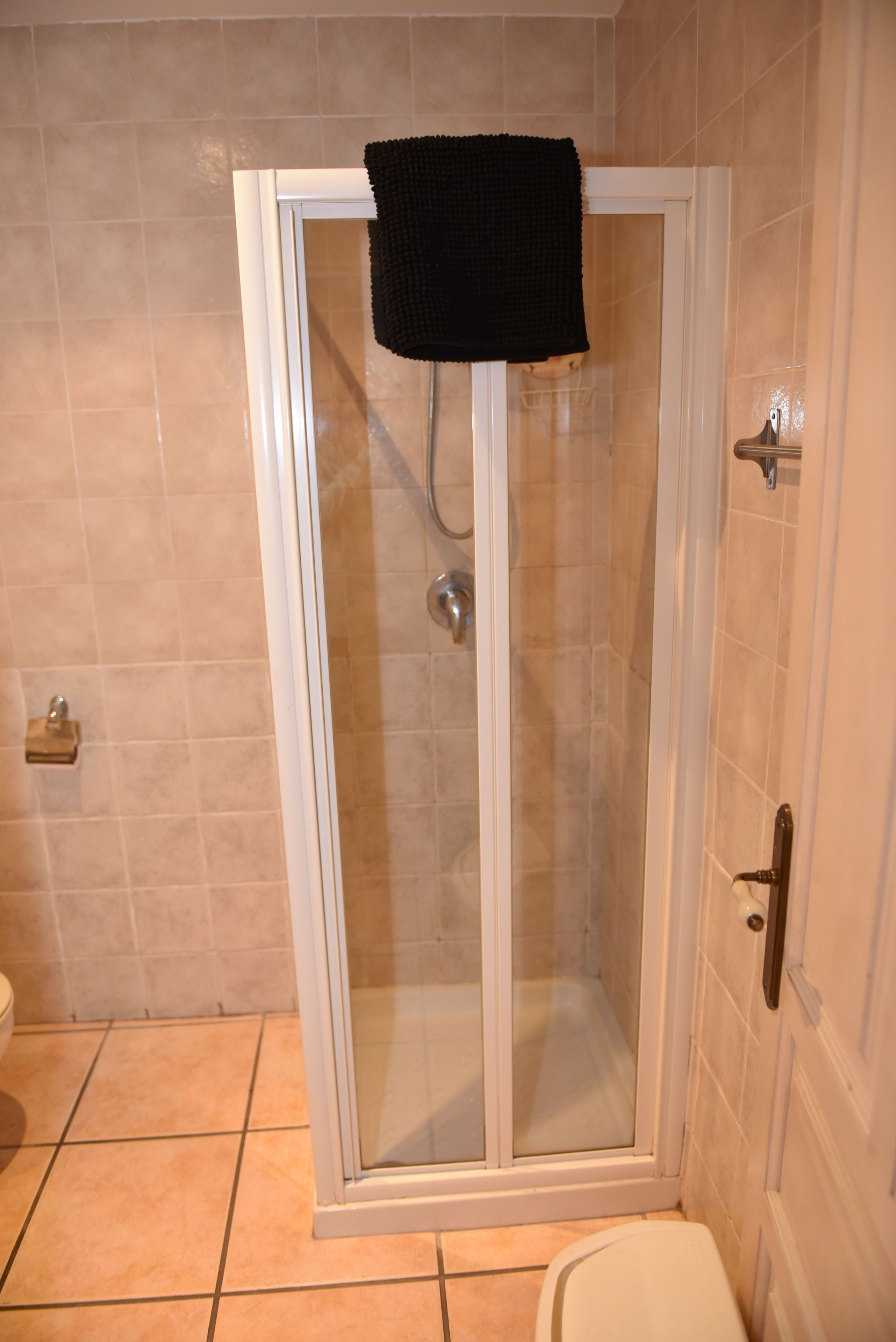 A shower with a glass door, a towel hanging on the door, and a toilet to the right.