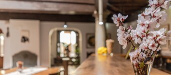 El Secreto del Olivo