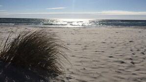 A beach with sand and sparse vegetation. - Hotel Borrby (Borrby)