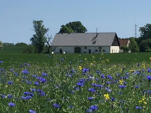 Situated in a serene natural setting, this traditional house offers a peaceful escape.