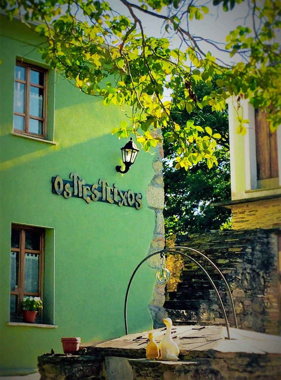 A building with a green facade and a sign that reads 'Osnes Tullius.'