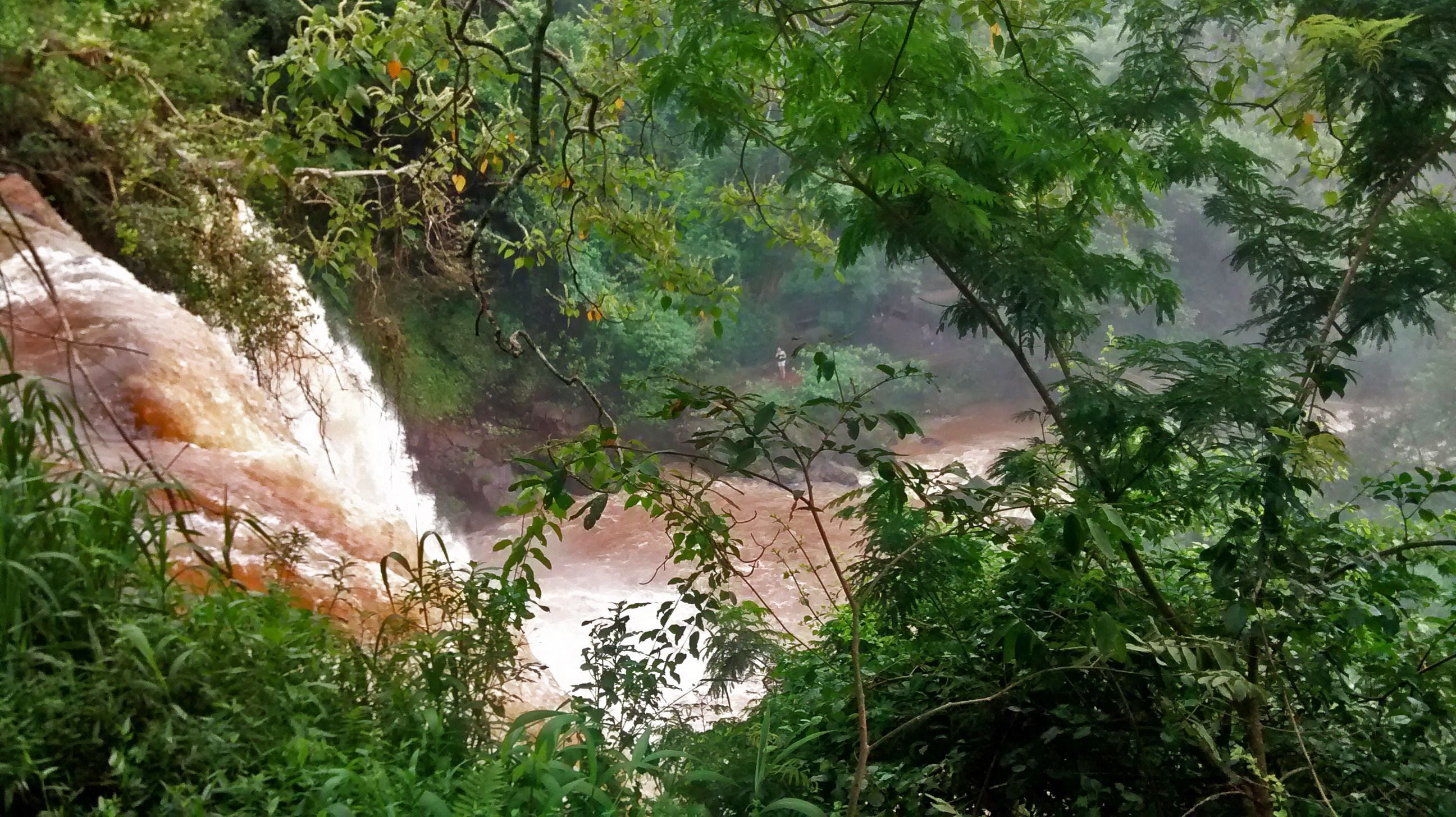 Foto - Posada del Chamán Iguazú