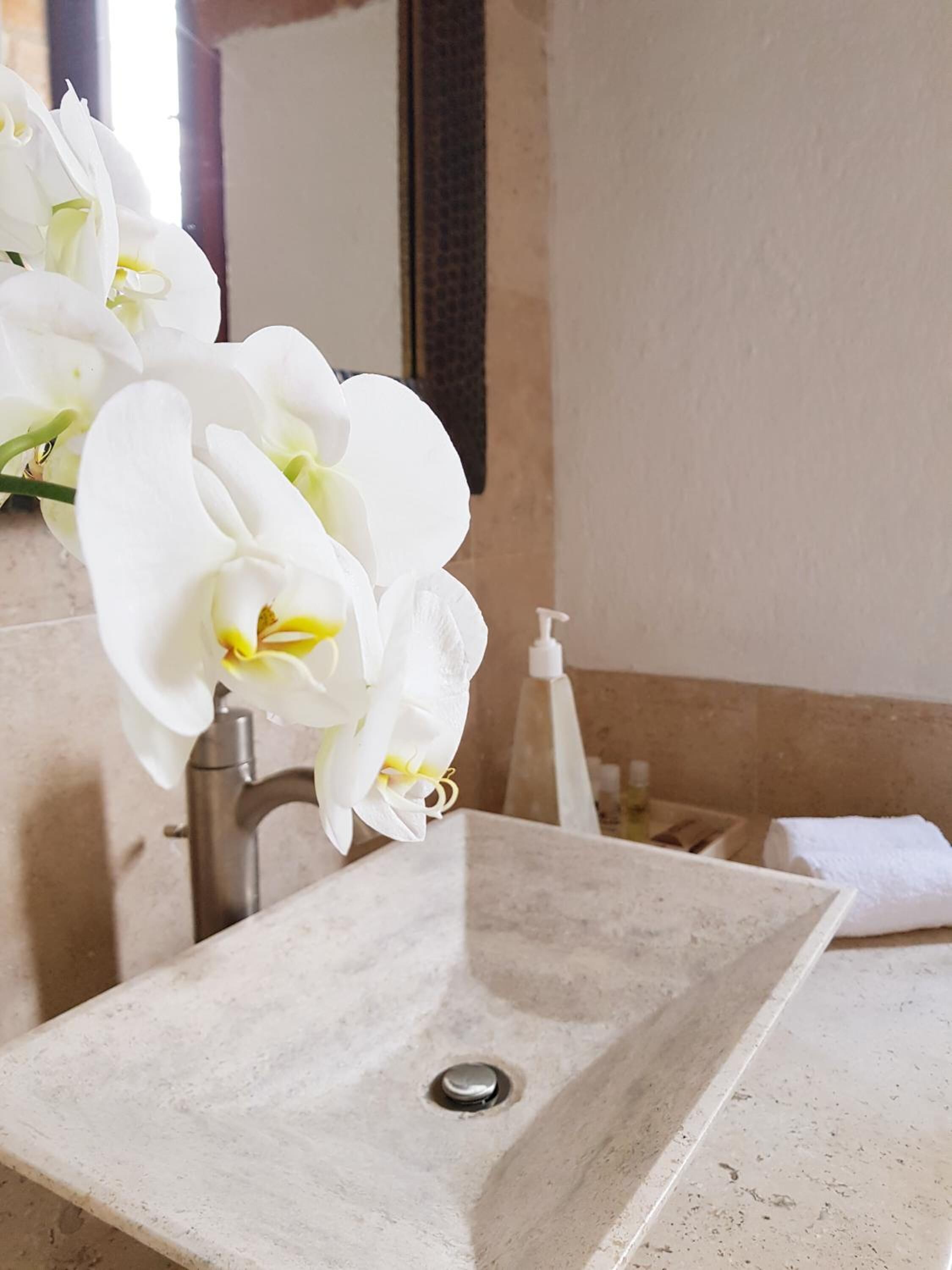 free toiletries, hair dryer, towels