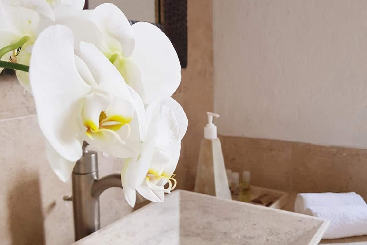 free toiletries, hair dryer, towels