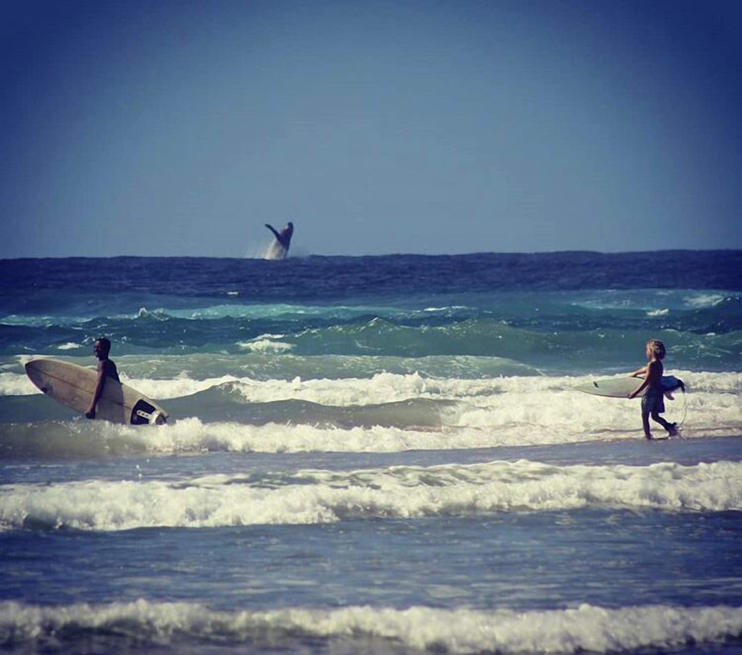 A beach scene with waves and surfers.