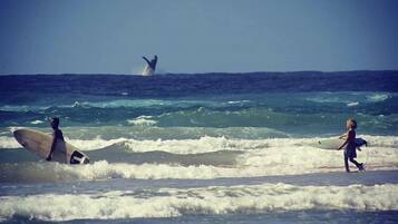 A beach scene with waves and surfers.