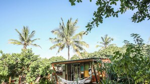Une petite cabane rustique, entourée d’une végétation luxuriante et de palmiers.