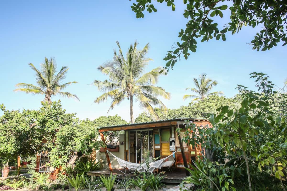 A small, rustic cabin surrounded by lush greenery and palm trees.