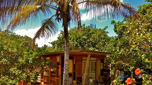 Une maison en bois avec un porche, entourée d’une végétation luxuriante et d’un palmier.