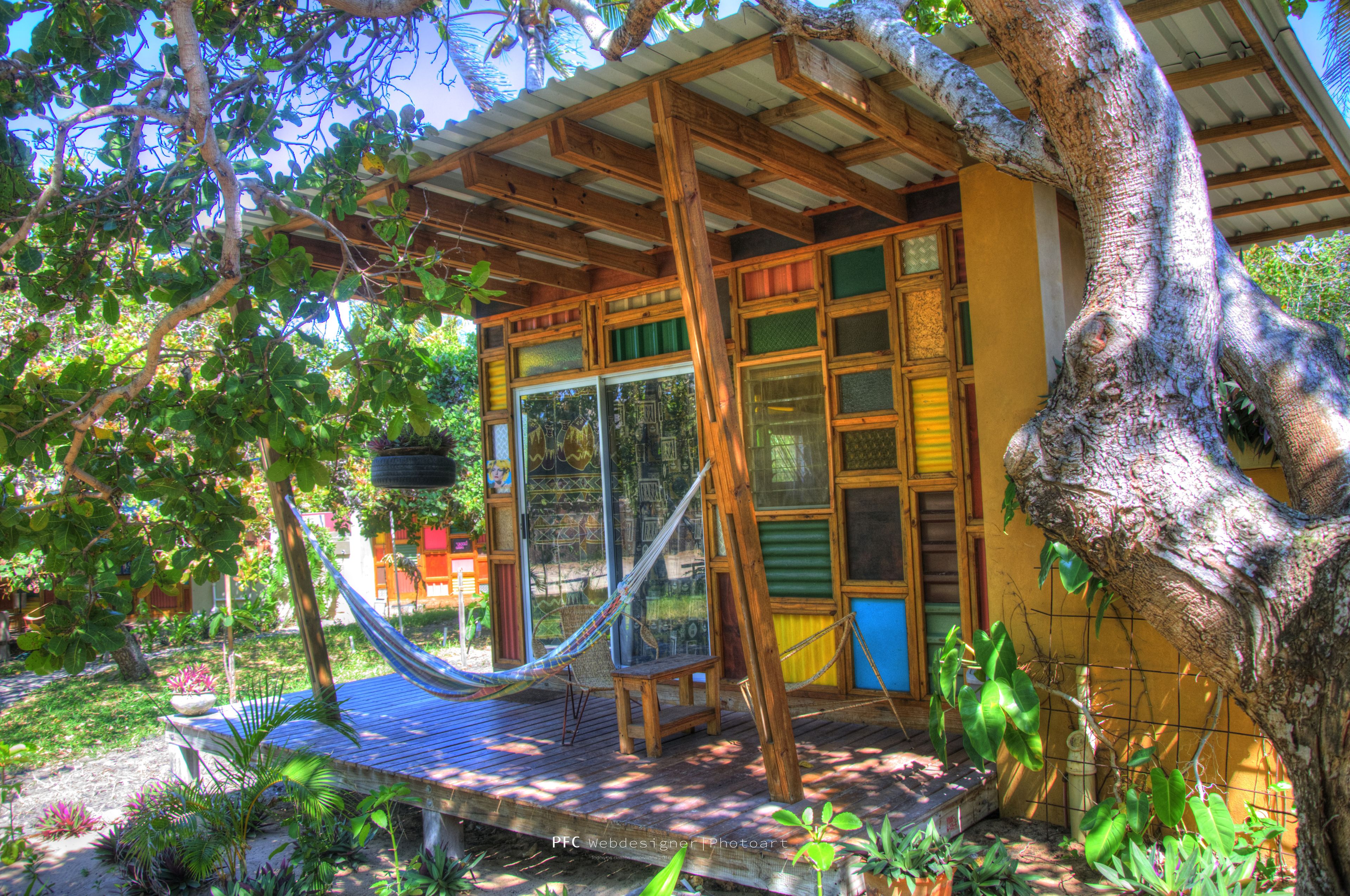 Une structure en bois avec un hamac, entourée d’une végétation luxuriante et d’un arbre.