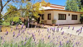 Deluxe Suite | Terrace/patio