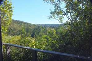 Mountain view - Treehaven (Plettenberg Bay)