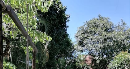 St Lucia Wilds