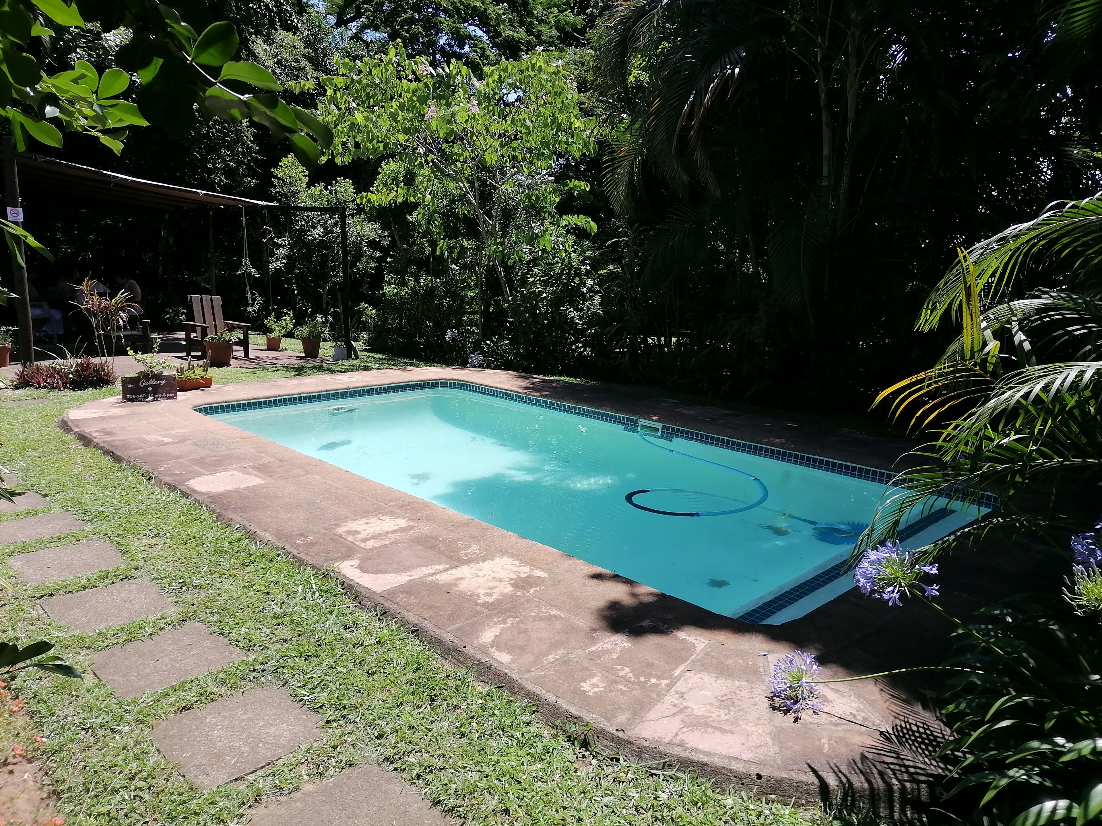 A rectangular swimming pool with a tiled edge, surrounded by a grassy area and potted plants.