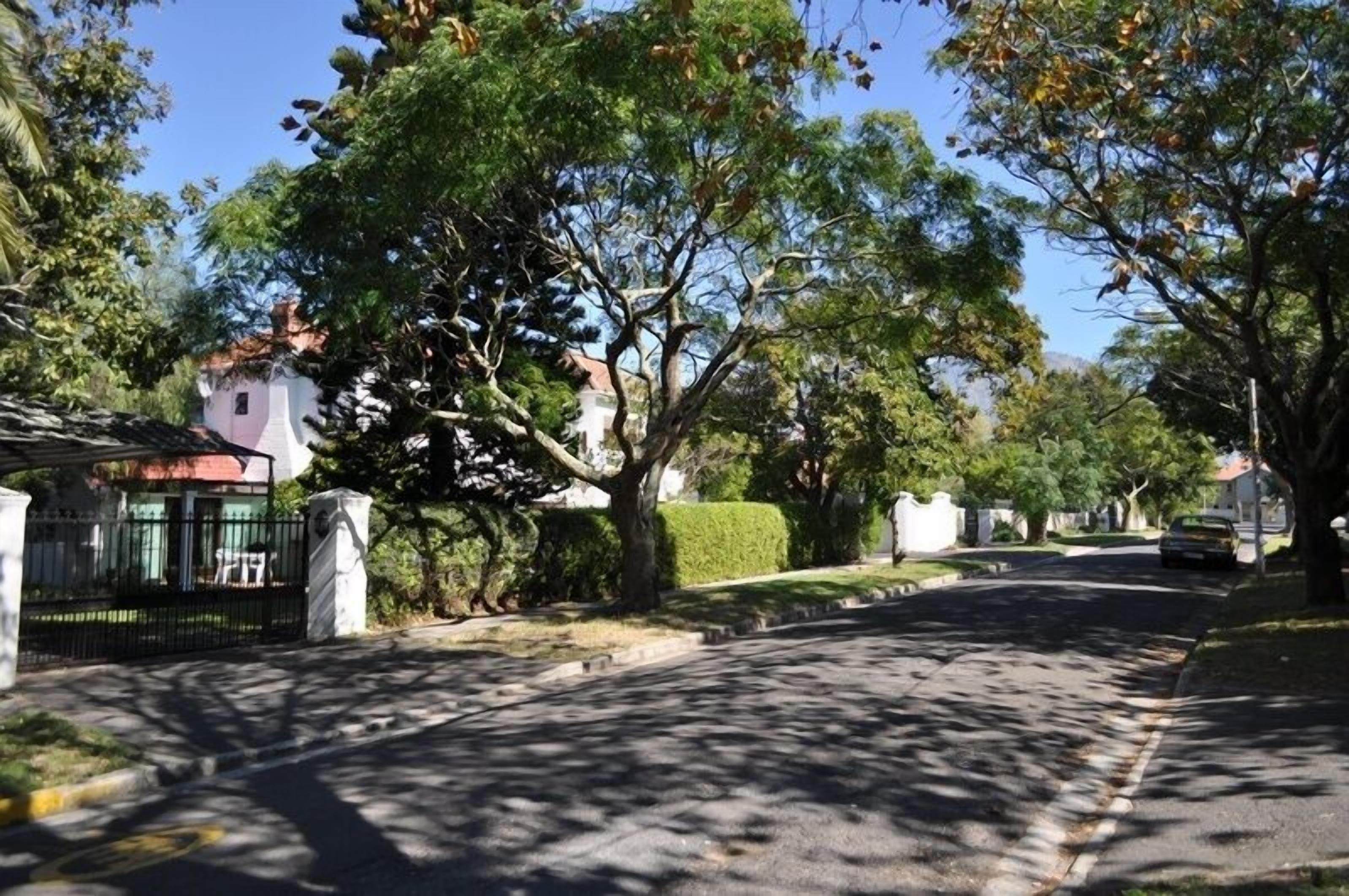 A quiet residential street lined with trees and houses.
