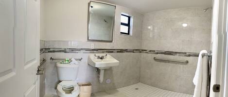 A bathroom with a toilet, sink, mirror, shower, and grab bars.