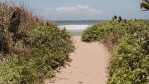 Ein Sandweg am Strand, gesäumt von üppiger, grüner Vegetation, der zum Meer führt.