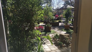 Vista desde la habitación