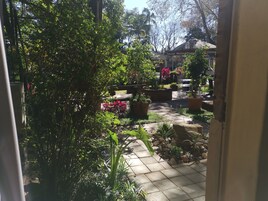 Vista desde la habitación