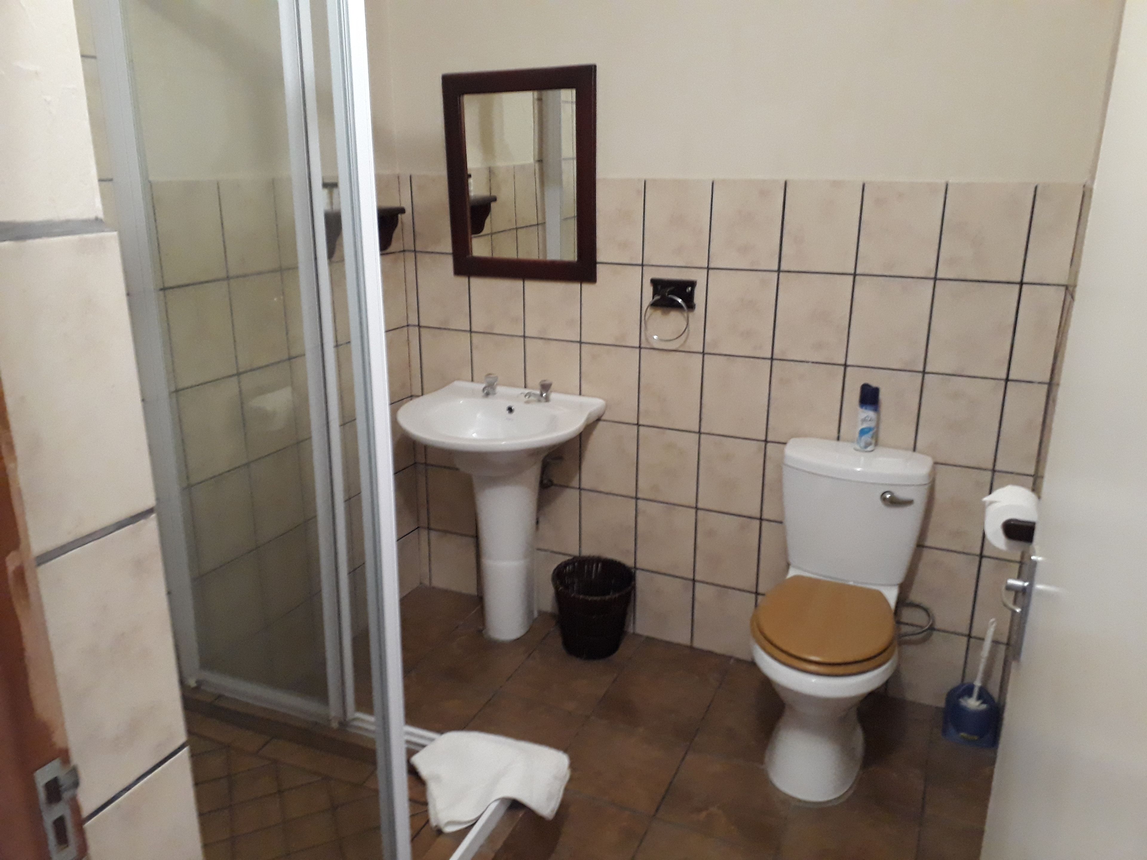 Een badkamer met een wastafel, toilet en douchecabine.