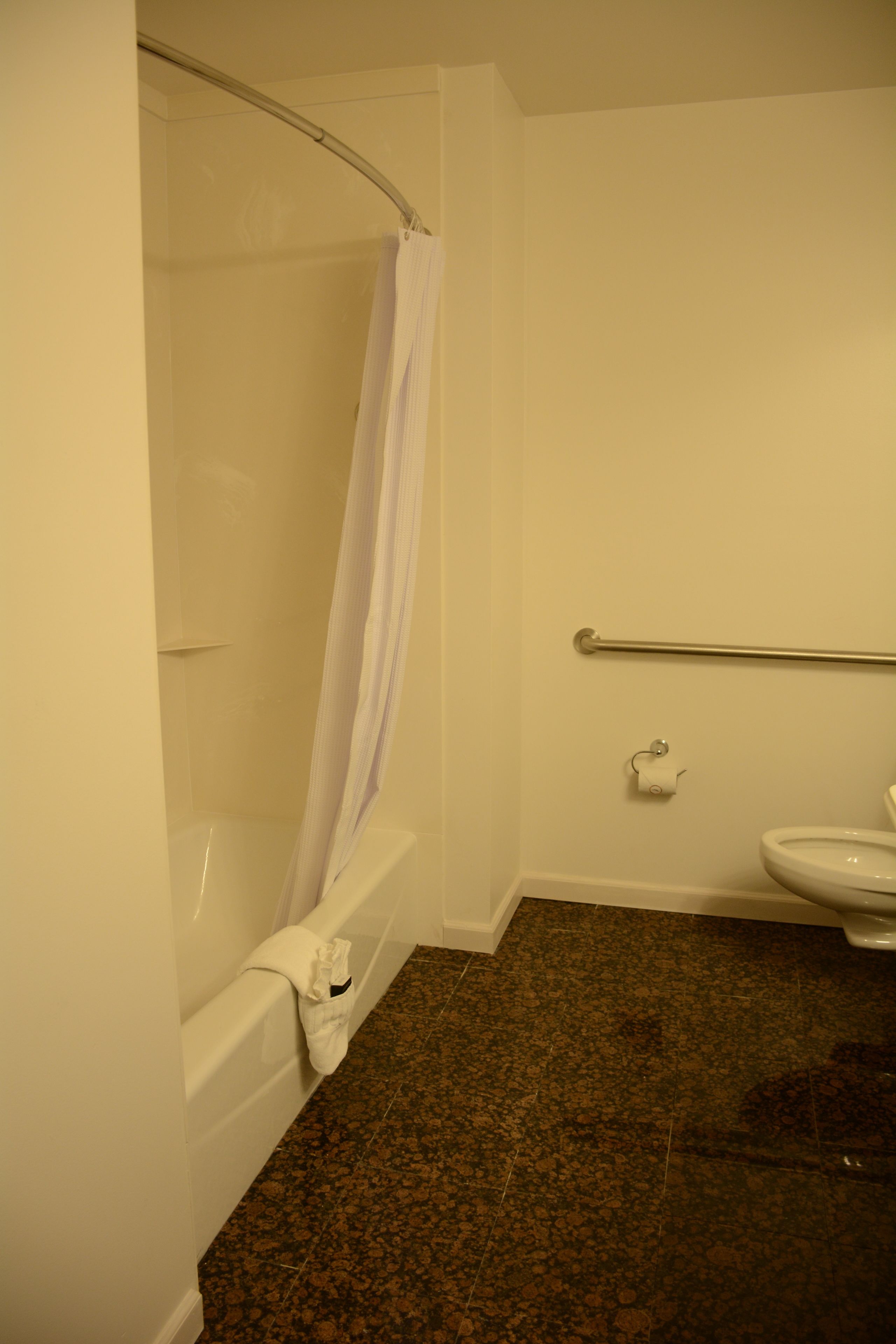 A bathroom with a shower, a toilet, and a grab bar.