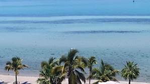 A coastal view with clear blue waters, a sandy beach, and palm trees.